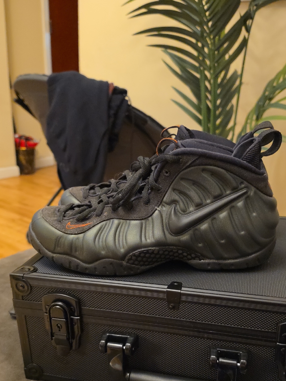 The product is a Nike Air Foamposite Pro "Sequoia" (no Box)